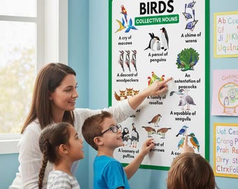 Birds Collective Nouns-poster, decor voor thuisonderwijs (digitale download)