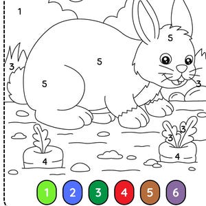 May include: Black and white line drawing of a rabbit and carrots, designed for a color-by-number activity. The rabbit is the central focus, with numbers indicating the colors to be used. Carrots and other elements are also outlined.