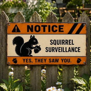 May include: A rectangular metal sign with an orange and cream background featuring a black squirrel silhouette holding an acorn. The text reads NOTICE, SQUIRREL SURVEILLANCE, and YES, THEY SAW YOU. The sign includes small acorn icons and a warning symbol.