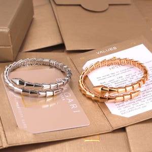 May include: Two coiled snake-shaped bracelets, one in polished silver-tone metal and one in rose gold-tone metal, each featuring segmented scales. The bracelets are displayed on top of two white authenticity cards with printed text and logos.