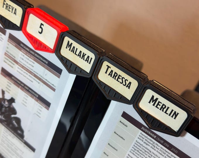 DnD Initiative Tracker for SL/DM Screen D&D, TTRPG, Dungeons and Dragons (optional box included)