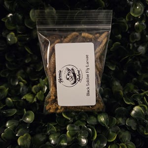 May include: A clear plastic bag filled with dried black soldier fly larvae. A white label with the text "Hernie's Galore" and "Black Soldier Fly Larvae" is attached to the bag. The background is a dark green, leafy texture.