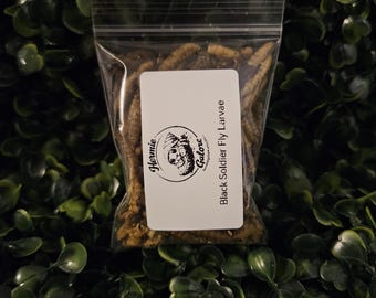Black Soldier Fly Larvae -Hermit Crab Food-Hermie Galore-