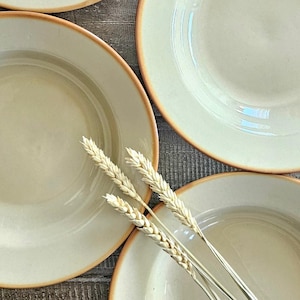 May include: Three round ceramic bowls with a smooth, off-white interior and a distinct, thin brown rim. The bowls are arranged in a cluster, and three dried stalks of wheat are placed diagonally across the centre of the composition.