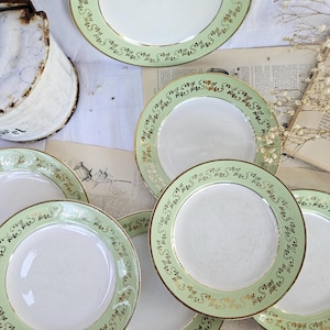 Op de afbeelding: Een verzameling witte keramische borden met een brede, lichtgroene rand versierd met een herhalend donkergroen en goudkleurig bloemmotief. De borden hebben een glad, cirkelvormig midden en een goudkleurige rand, gerangschikt in een groep.