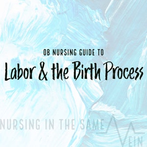May include: A light blue abstract background with the text "OB NURSING GUIDE TO Labor & the Birth Process". The words "NURSING IN THE SAME VEIN" are at the bottom of the image.