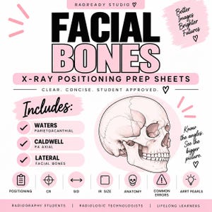 May include: An educational infographic titled FACIAL BONES X-RAY POSITIONING PREP SHEETS featuring a detailed illustration of a human skull. The design includes text lists for Waters, Caldwell, and Lateral views, plus icons for positioning, CR, SID, IR size, anatomy, common errors, and ARRT pearls.