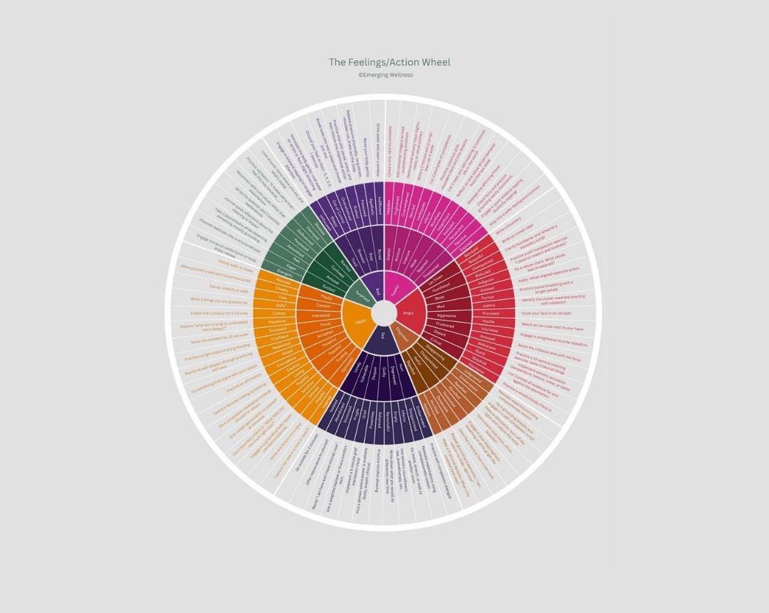 The Feelings/action Wheel - Etsy