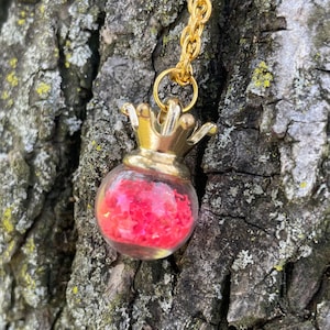 May include: A gold-colored necklace featuring a small, clear glass pendant shaped like a crown. The pendant is filled with bright pink confetti. The necklace is displayed against a textured tree bark background.