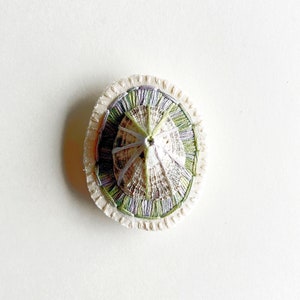 Hand embroidered brooch abstract design using lavender and green variegated threads and limpet shell An Astrid Endeavor fiber jewelry image 1