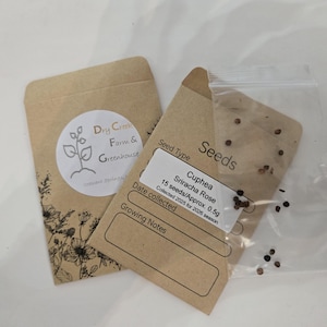 Può includere: Due bustine di semi e un piccolo sacchetto di plastica pieno di semi. Una bustina ha un'etichetta bianca con un logo di pianta e la scritta "Dry Creek Farm & Greenhouse". L'altra bustina ha un'etichetta con la scritta "Cuphea Sriracha Rose, 15 semi/circa 0,5g".