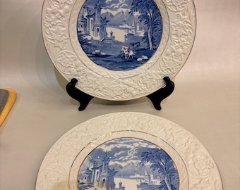 Juego de 2 platos vintage Newcastle de 11 litros, blanco y azul, fabricado en Inglaterra.