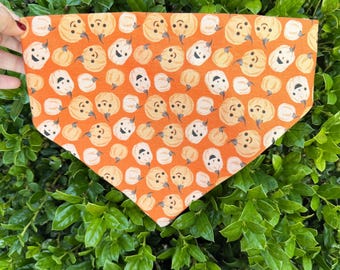 Pumpkin Paws - Orange