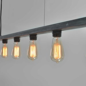 May include: A black metal industrial style light fixture with ten Edison bulbs. The fixture is suspended from the ceiling and has a long, rectangular shape.