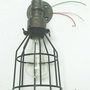 May include: A black metal cage light fixture with a clear glass bulb. The fixture is attached to a gray metal pipe and has a round base with wires coming out of it. The text "ZAL CREATIONS" is visible in the bottom right corner of the image.