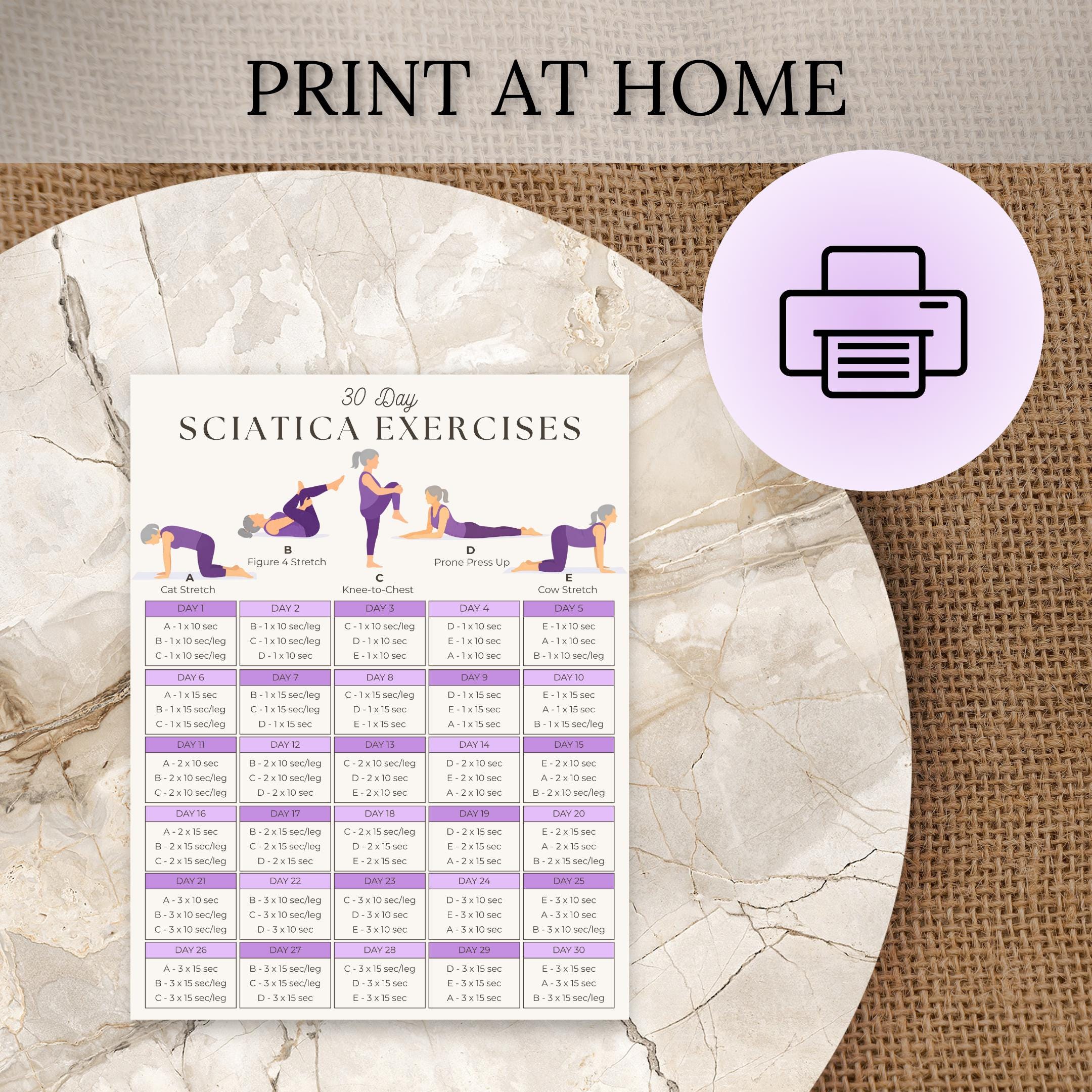Sciatica Pain Relief Exercises Printable | 30 Day Challenge | Back Pain ...