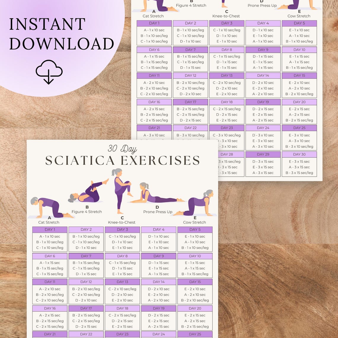 Sciatica Pain Relief Exercises Printable | 30 Day Challenge | Back Pain ...