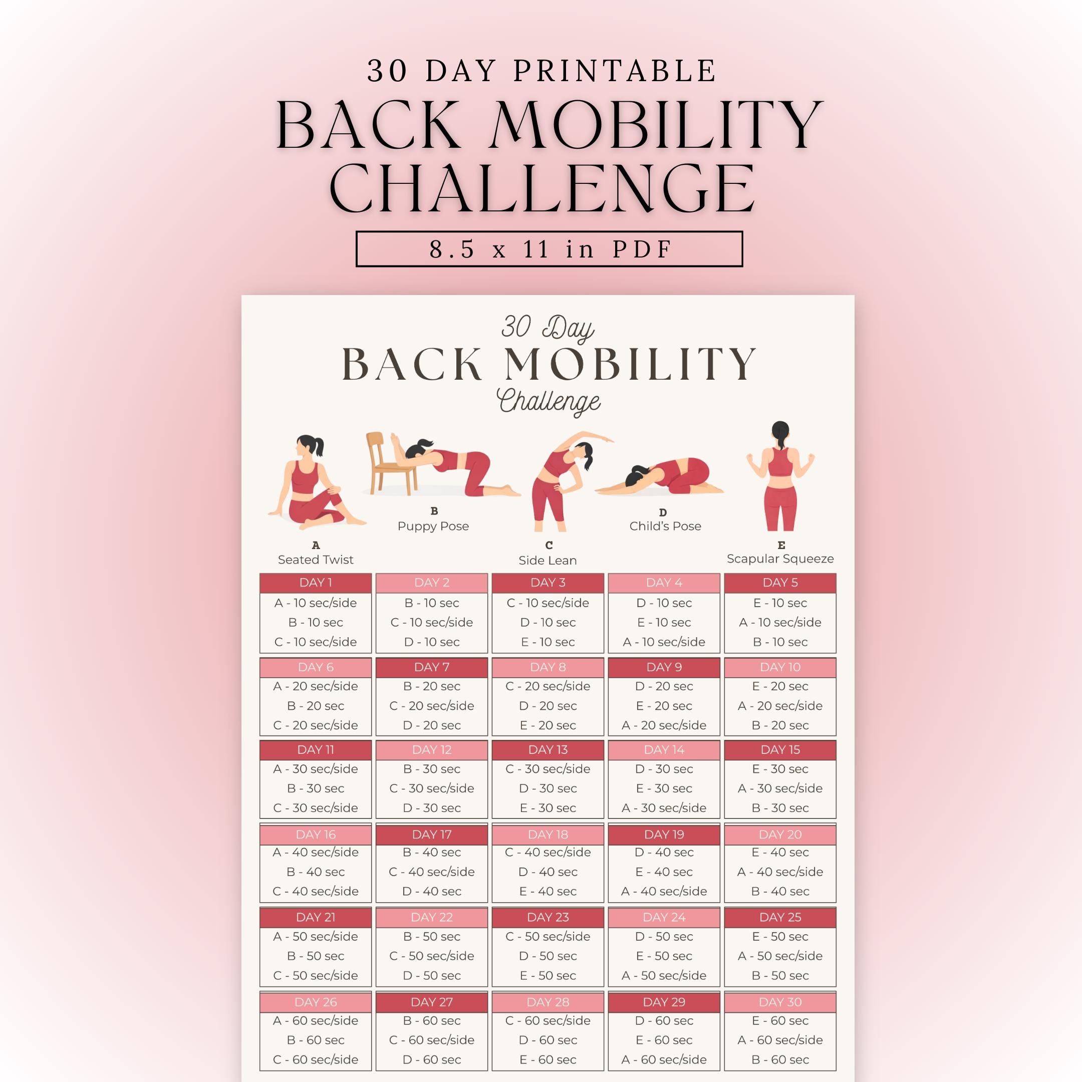 Back Exercises | Upper and Lower Back Exercise Poster | Back Pain ...
