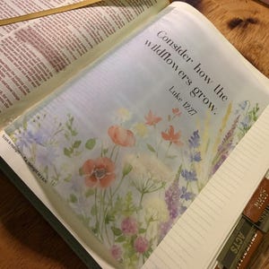May include: An open Bible featuring a floral illustration and the text "Consider how the wildflowers grow. Luke 12:27." The illustration depicts watercolour flowers in red, pink, purple, and yellow.