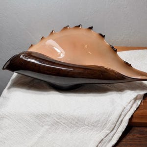 May include: A decorative glass bowl with a seashell design. The bowl features a gradient of colors, transitioning from a dark brown base to a light peach center, with a spiky, dark brown rim. The bowl is placed on a white cloth.