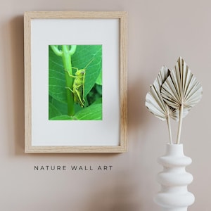 Grasshopper Macro Photography Print, Green Insect Wall Art