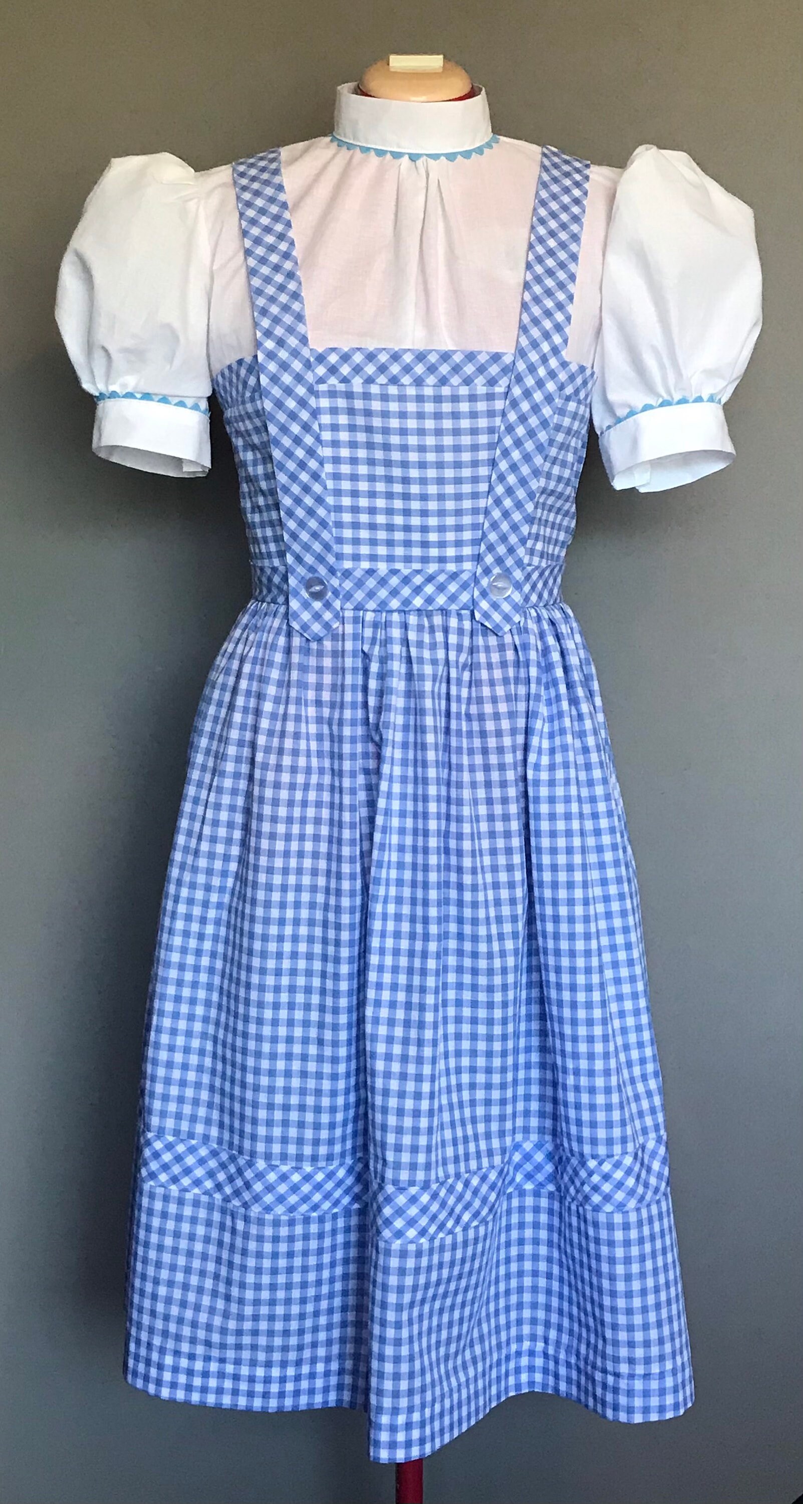Blue and white clearance checkered dress dorothy