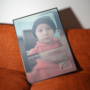 May include: A framed print featuring a young person wearing a beanie and a pink hoodie. The print is titled "early life crisis" by Nettspend, with a tracklist and release details. The album length is 48:40.