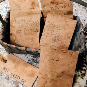 May include: A rustic basket filled with vintage seed packets. The packets are labeled with handwritten names like "Sunflower" and "Butternut Squash," and feature simple illustrations. A tag reads "RJ SEED CO."