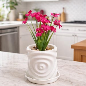 Waterdrop Planter with Drainage 3D Printed Indoor Succulent Plant Pot | Housewarming Gift