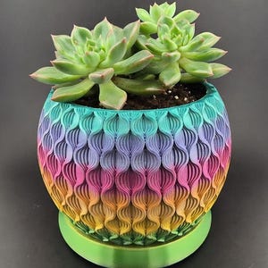 May include: A vibrant, rainbow-colored, 3D-printed planter pot with a textured, wave-like pattern. The pot holds a succulent plant with green leaves. The planter sits on a green base, set against a dark background.