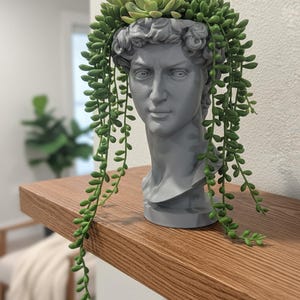 Sculpture Planter, 3D-Printed David Bust with 4 Height Options