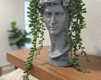 Sculpture Planter, 3D-Printed David Bust with 4 Height Options