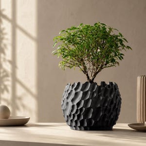 Puede incluir: Una pequeña planta de hojas verdes en una maceta negra mate con un exterior texturizado tipo panal, con hendiduras irregulares profundas y un borde dentado e irregular que crea una silueta orgánica distintiva para el recipiente.