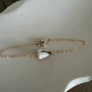 May include: A delicate gold chain bracelet with a single seashell charm. The seashell is white with brown markings and has a pointed shape.