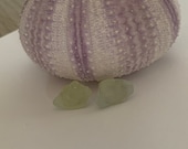 Seashell Jewelry Mint Sea Glass - Ocean Glass - Stud Earrings (1764)