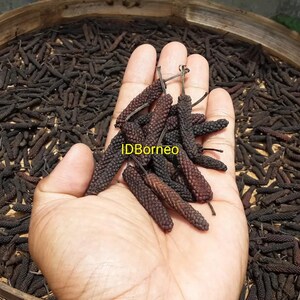 Pode incluir: Uma coleção de amentilhos de pimenta longa secos com uma superfície texturizada castanho-escura. As peças de especiarias cilíndricas e granulares são mantidas num cacho, com o texto IDBorneo visível em fonte amarela sobre o centro.