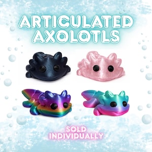 May include: Four articulated axolotl figures in various colors: dark blue, pink, and two rainbow gradient designs. The text "ARTICULATED AXOLOTLS" is at the top, and "SOLD INDIVIDUALLY" is at the bottom.