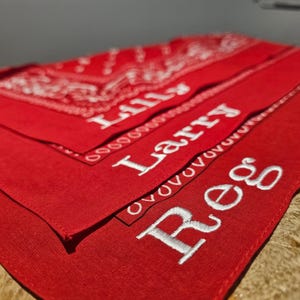 western themed cowboy baby shower favours. Personalised western cowboy baby shower favors. baby cowboy gift bags. custom baby bandana. custom placemat bandana. first rodeo baby bandana. cowboy outfit custom baby. embroidery baby gifts.