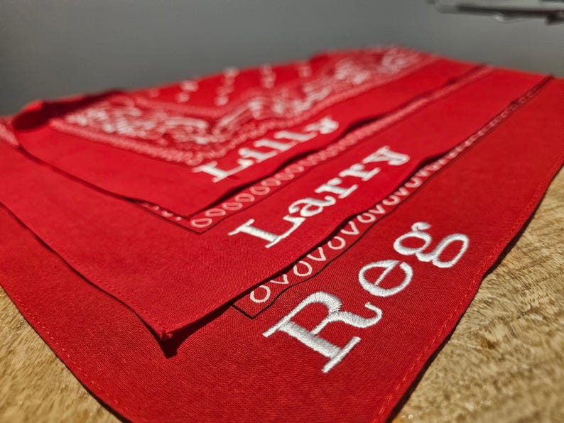 western themed cowboy baby shower favours. Personalised western cowboy baby shower favors. baby cowboy gift bags. custom baby bandana. custom placemat bandana. first rodeo baby bandana. cowboy outfit custom baby. embroidery baby gifts.