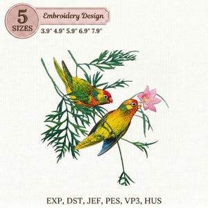Puede incluir: Diseño de bordado con dos pájaros coloridos posados en ramas verdes, con una flor rosa. El diseño incluye el texto "Embroidery Design" y tamaños de 9.9 cm a 20.1 cm.
