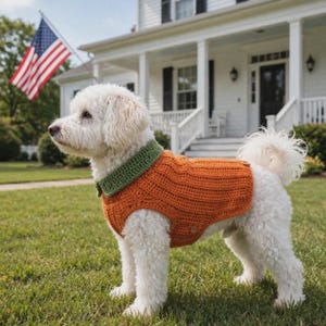 Könnte beinhalten: Ein weißer Hund trägt einen gehäkelten orangefarbenen Pullover mit grünem Kragen. Der Pullover hat ein strukturiertes Rippenmuster und kleine braune Knöpfe an der Seite. Der Hund steht auf einer grünen Wiese vor einem weißen Haus mit Flagge.