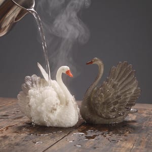 May include: Two swan-shaped figurines, one white and one dark gray, with detailed feather textures. A metal pitcher pours water over the white swan, creating steam. The white swan has an orange beak, while the gray swan has a dark beak.