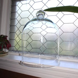 May include: A clear glass cloche with a rounded top and a small knob handle. The cloche sits on a white windowsill in front of a window with a geometric pattern. The cloche is a decorative item.