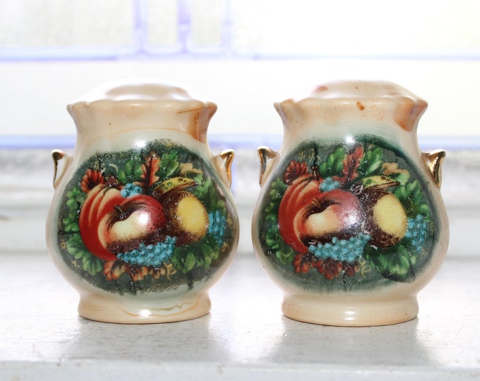 Vintage Salt & Pepper Shakers Urn Vases with Fruit