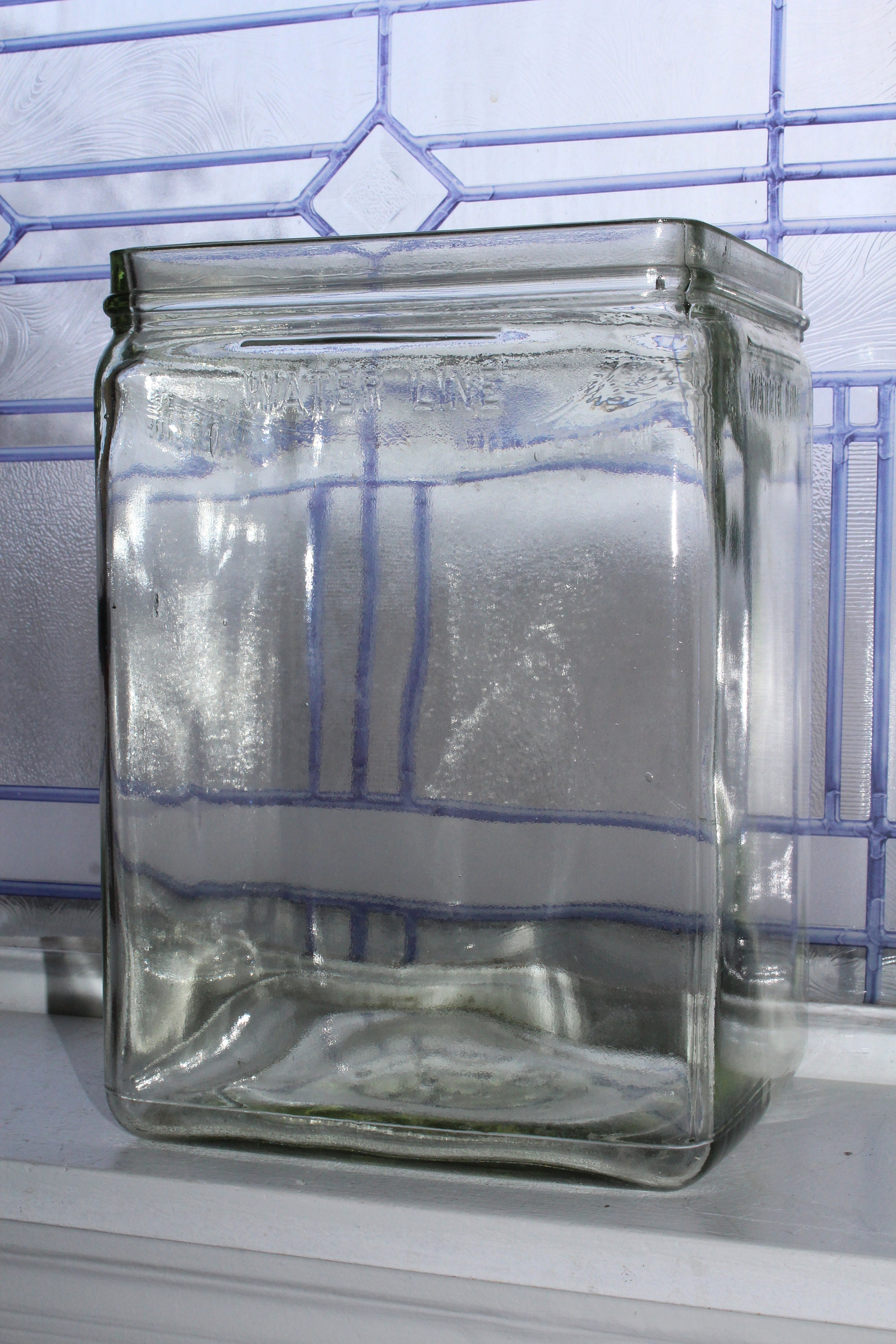 Antique Battery Jar Large Glass Terrarium Vase