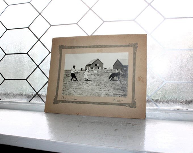 Antique Oversized Cabinet Card Photo Tug O War Children Cow Signed King