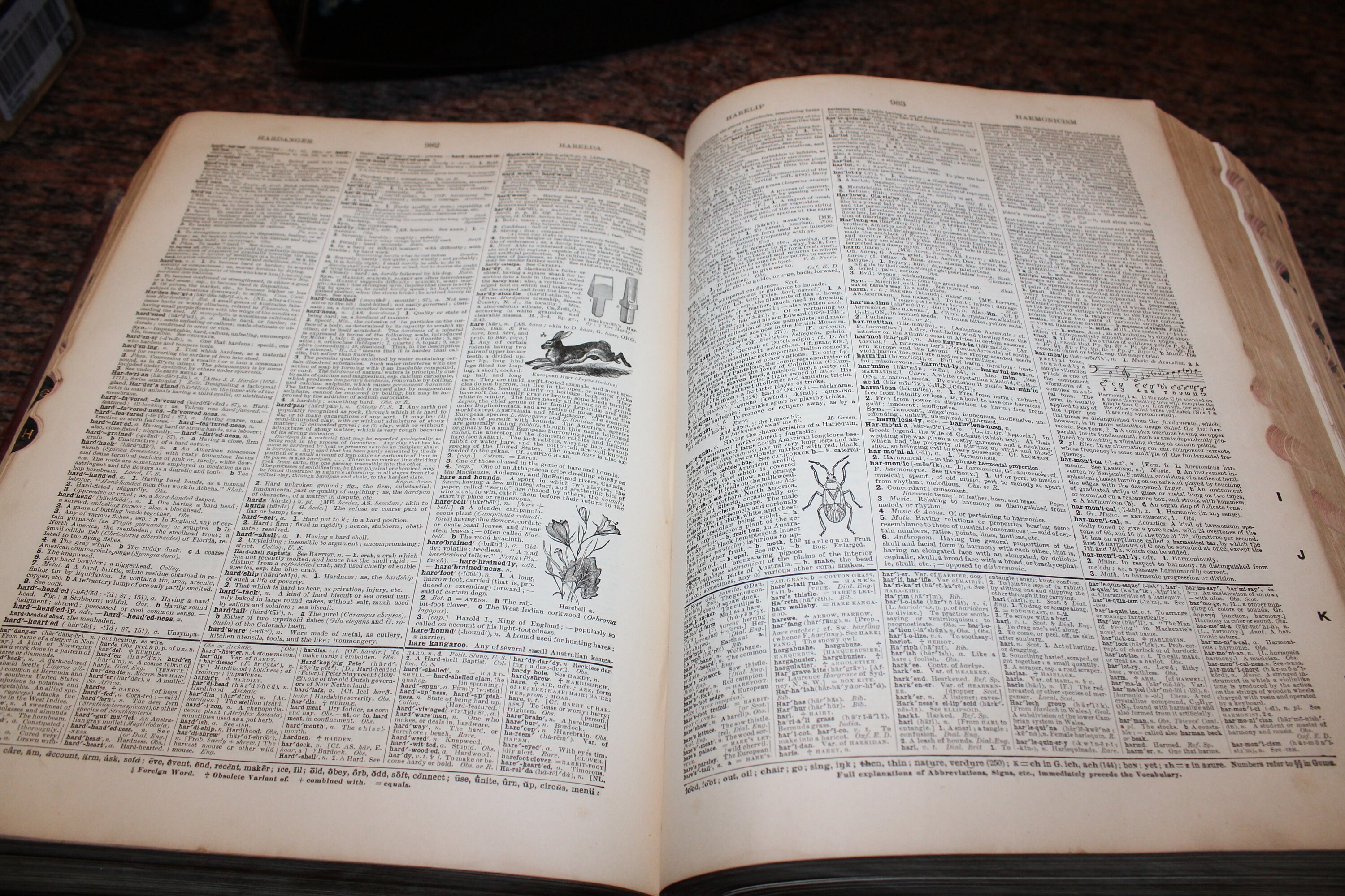 Large Antique Dictionary 1923 Webster's New International