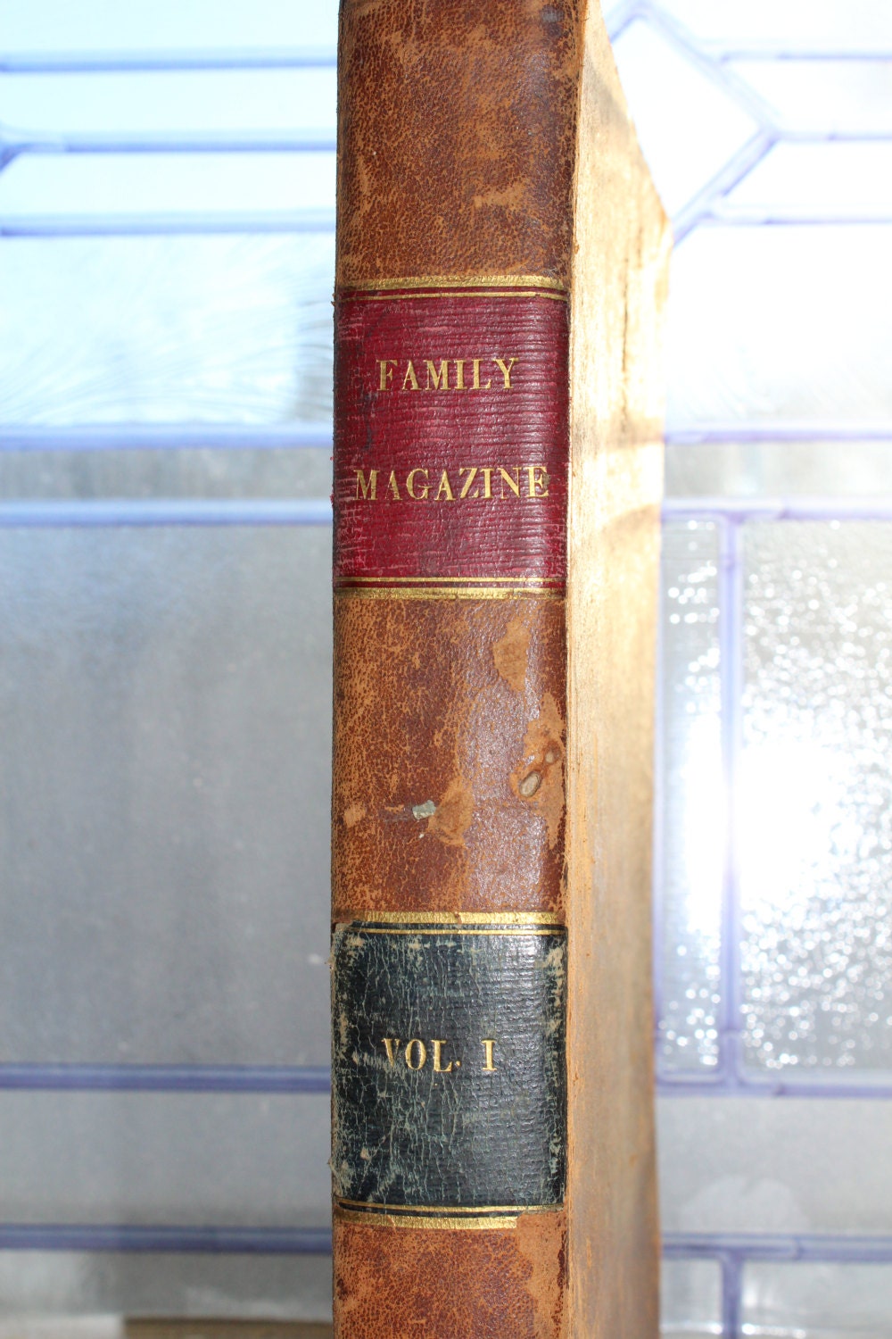 book the family remains book the family remains