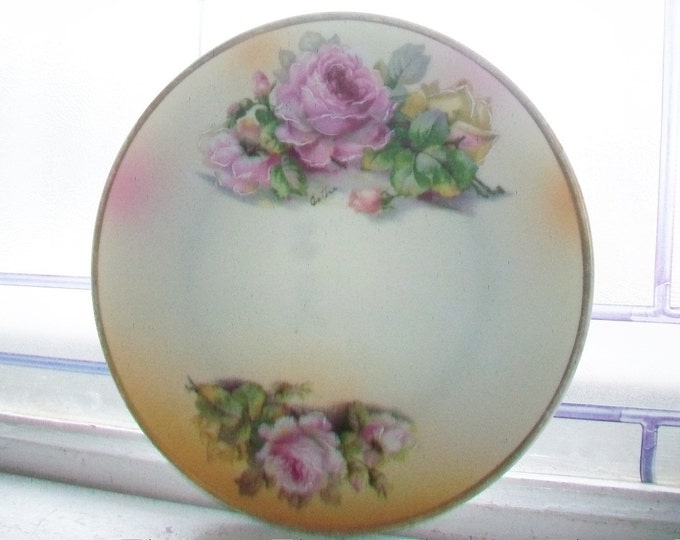 Vintage Cabinet Plate Hand Painted Flowers Bavaria H & Co. BT Co.