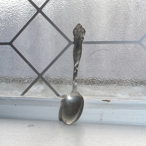 Antique Demitasse Spoon Lakeside